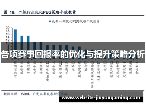 各项赛事回报率的优化与提升策略分析