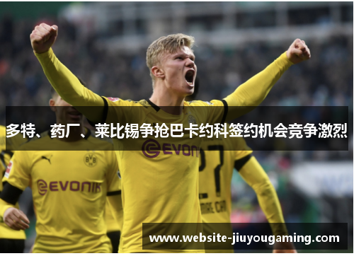 多特、药厂、莱比锡争抢巴卡约科签约机会竞争激烈